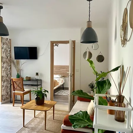 Cozy Appartement En Centre-Ville Montpellier Buitenkant foto