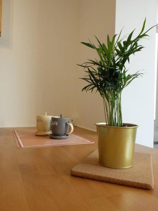 Apartment Cozy En Centre-ville